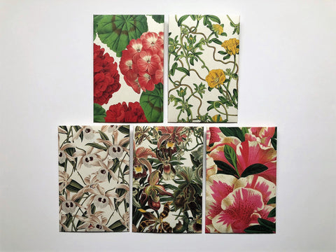 Blossoming blooms money envelopes for Chinese New Year, Christmas, Eid, weddings, birthdays in wide design