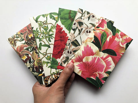 Blossoming blooms money envelopes for Chinese New Year, Christmas, Eid, weddings, birthdays in wide design
