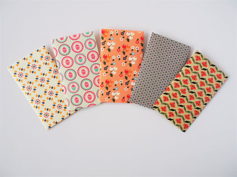 Cute mixed variety pack of money envelopes--set of 5 in tall design