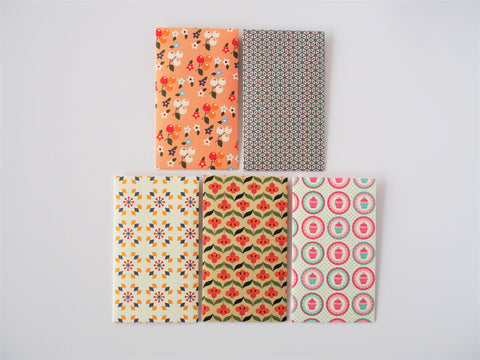 Cute mixed variety pack of money envelopes--set of 5 in tall design